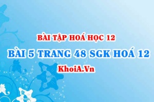 Bài 5 trang 48 SGK Hoá 12: Tính chất Hoá học, tính chất Vật lí, Cấu tạo của Amino Axit